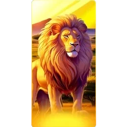 Lion
Safari